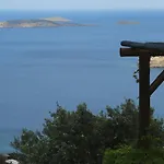 Vereniki Andros