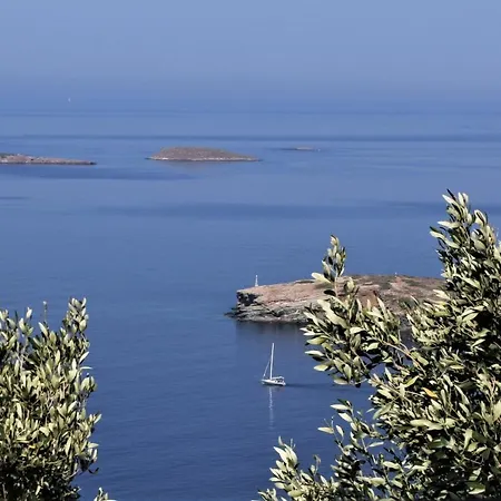 Vereniki Andros * Batsi (Andros)