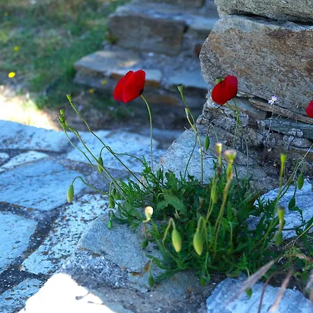 Vereniki Andros Σπίτι διακοπών *